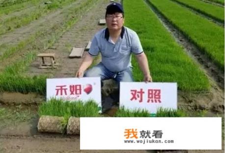 坏种2女主是不是赫敏？