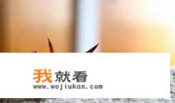 你听过哪些奇葩无厘头的分手理由？