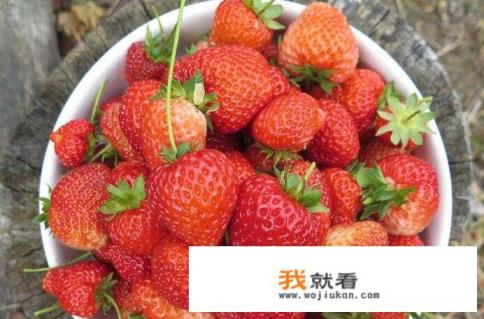 午餐吃什么有营养？