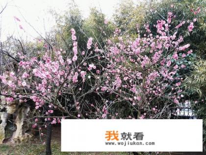 镇江有哪些适合亲子游的地方？
