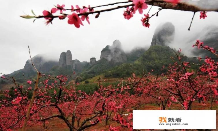 三八妇女旅游路上的文案？