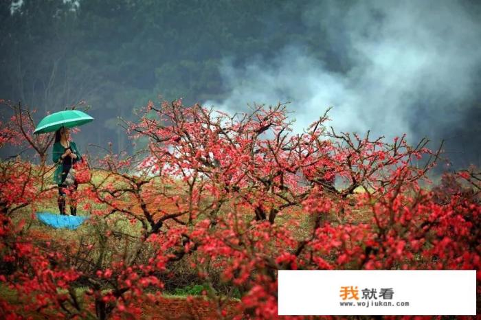 三八妇女旅游路上的文案？