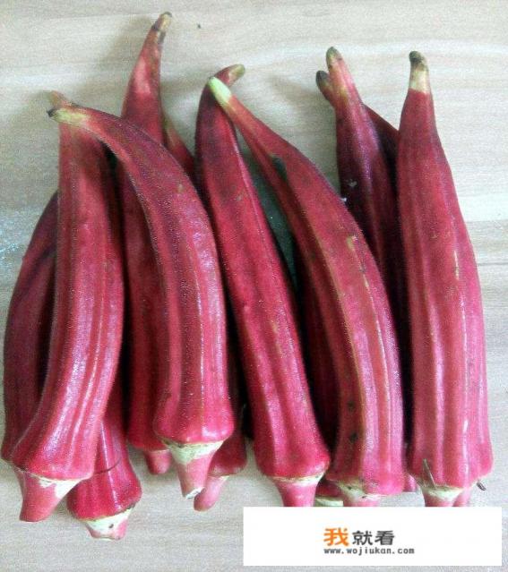 红秋葵除了可以食用外，还有其它什么用吗？请详细论述一下它的作用？