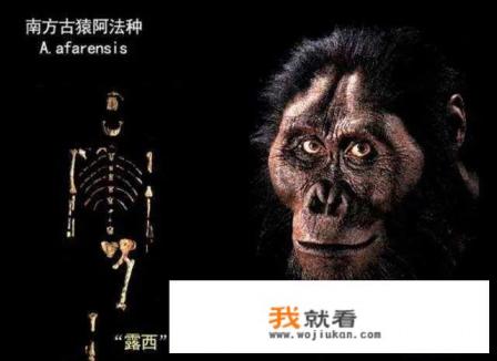 完美世界原始之门有什么? 完美世界原始之门有什么?