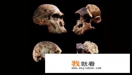 完美世界原始之门有什么? 完美世界原始之门有什么?