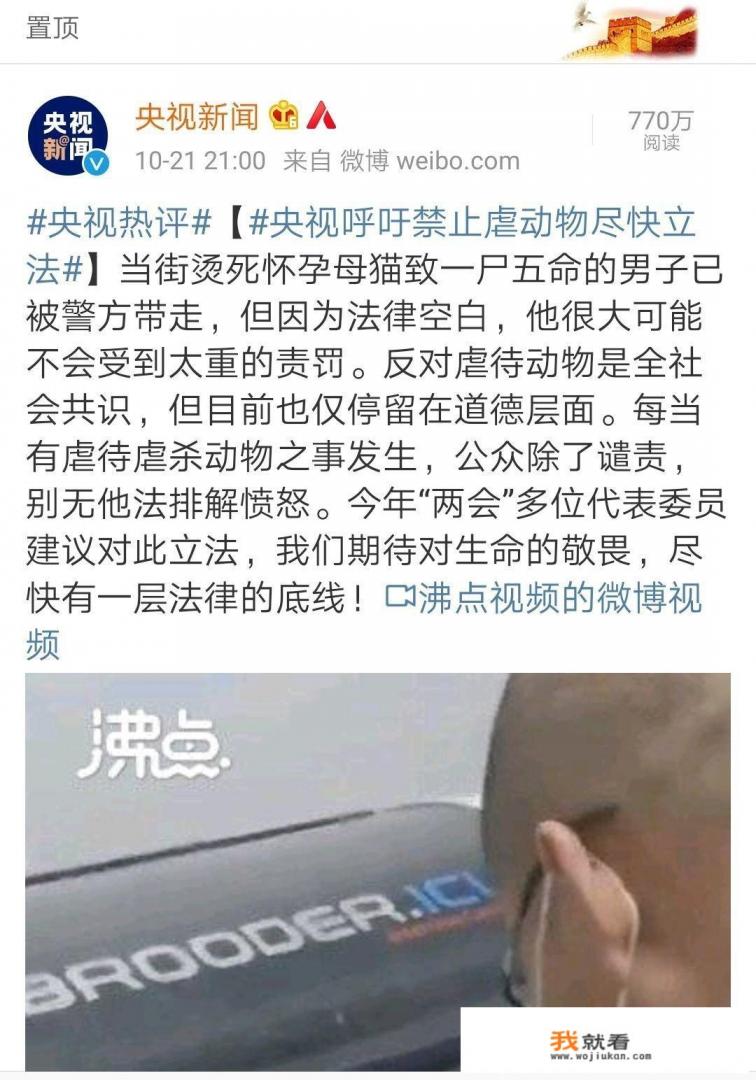 如何看待央视呼吁禁止虐待动物尽快立法？