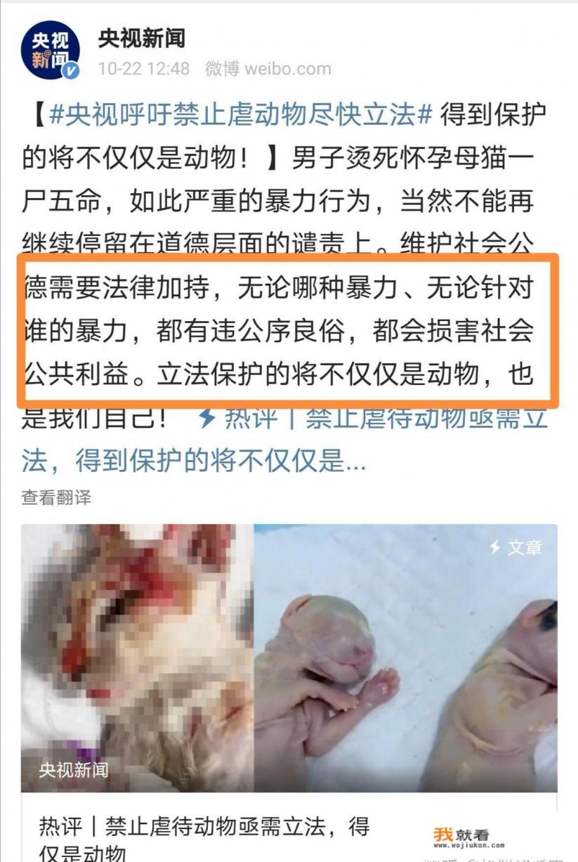 如何看待央视呼吁禁止虐待动物尽快立法？