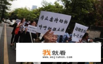 如何看待央视呼吁禁止虐待动物尽快立法？