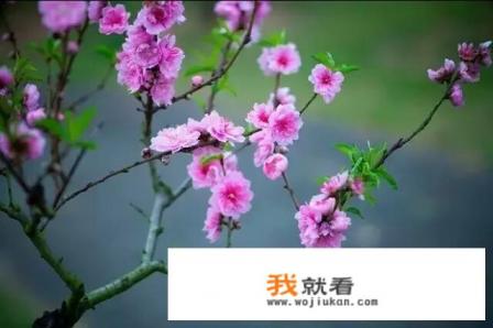 如果某一天世界没有了网络，你会怎么面对？