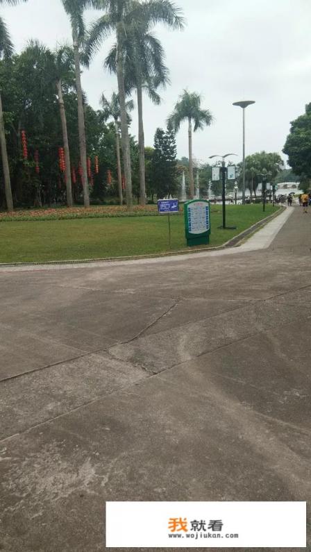 公司想让我自动离职我应该怎么办？