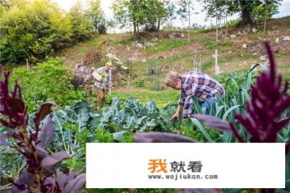 学生党如何用电脑赚钱。轻松赚取零花钱？