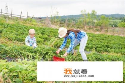 学生党如何用电脑赚钱。轻松赚取零花钱？