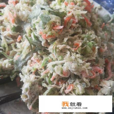 绿萝卜炸丸子的做法？