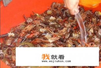 如何快速清洗小龙虾？