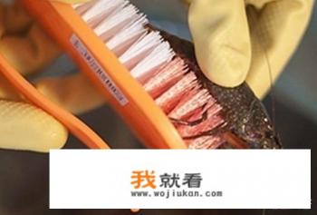 如何快速清洗小龙虾？