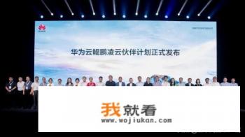 团结共赢谋发展！华为发布鲲鹏凌云伙伴计划，共建开放系统共赢鲲鹏生态！你怎么看？