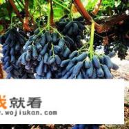 自制葡萄酒产生的甲醛成份对人体有害吗？如何去除？