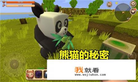 名侦探学院汉字的秘密游戏规则？