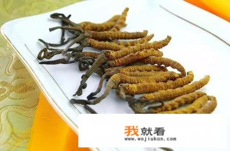 青海的特产有哪些？