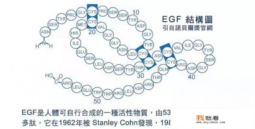 银耳和燕窝哪个更好吃？