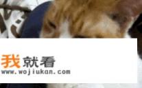 感冒流鼻涕，吃什么药好？