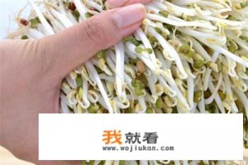 家用豆芽机的使用方法？