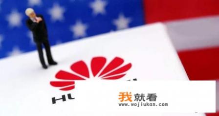 联通和电信300+亿的大单为什么华为和中兴投标价只差几百万？