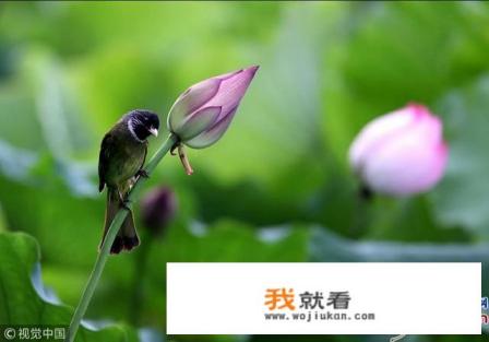 数据价值凸显的今天，银行和我们该如何保护信息安全？