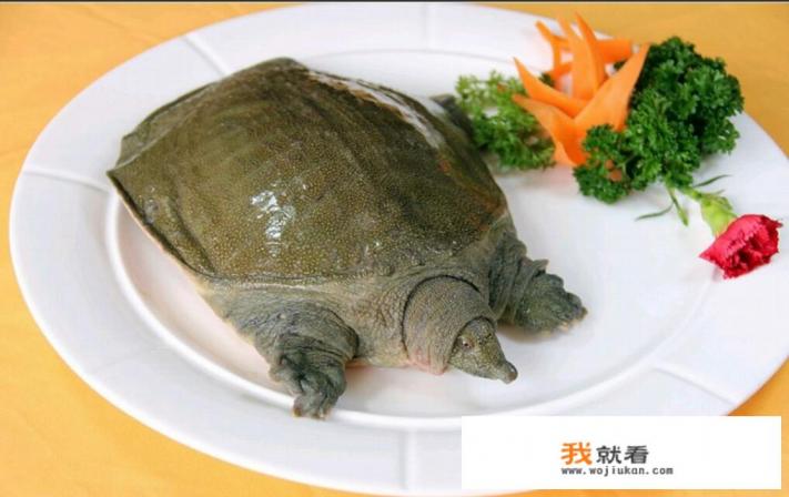 别人东西坏了怎么安慰文案？