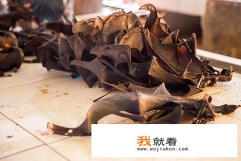 印尼雨水到底有多可怕？