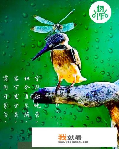 oppo怎么换字体美化大师？