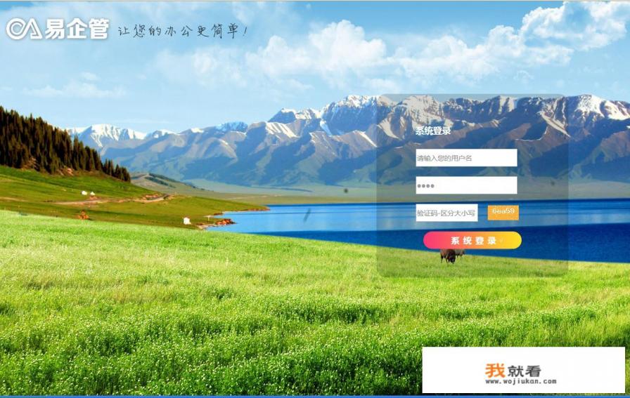 OA属于什么系统软件？