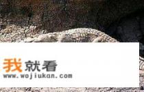 东西世界咋拍的？