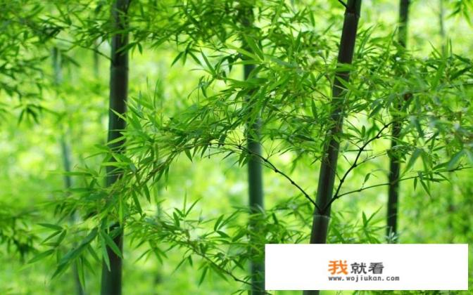 新生活电影大结局？