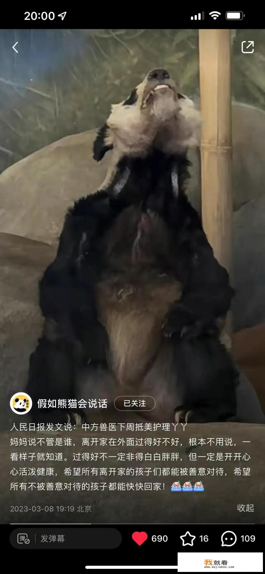 北京泼熊事件详细介绍？