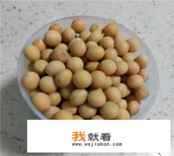 老式九阳豆浆机使用方法？