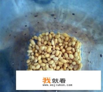 老式九阳豆浆机使用方法？