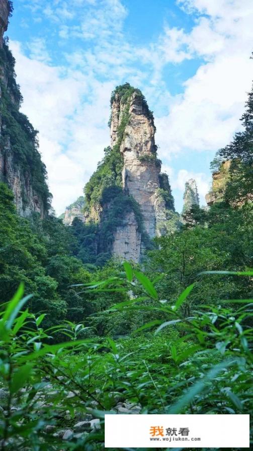 当归黄芪泡水喝的功效是什么？