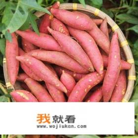 芝士红薯烤箱做法？