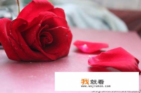 魔兽世界重拾记忆放弃以后怎么接？