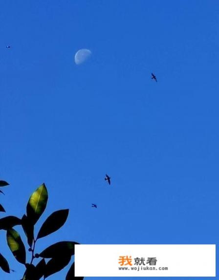华为手机拍月亮🌙效果怎么样？
