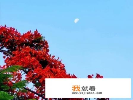 华为手机拍月亮🌙效果怎么样？