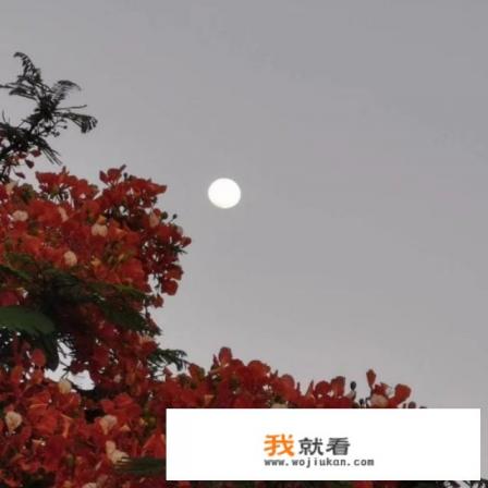 华为手机拍月亮🌙效果怎么样？