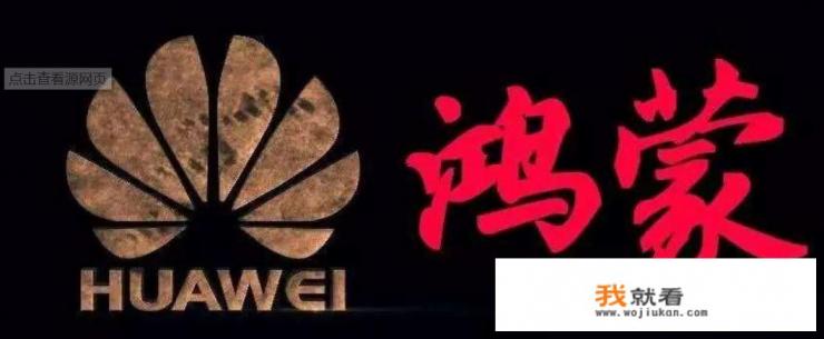华为手机googleplay服务可以删除吗？