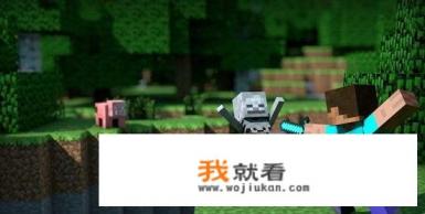 你怎么评价《我的世界》这个游戏？