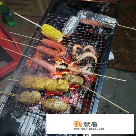 烤的食物有哪些？