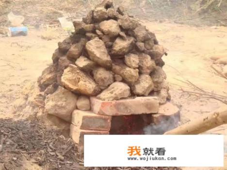 烤的食物有哪些？