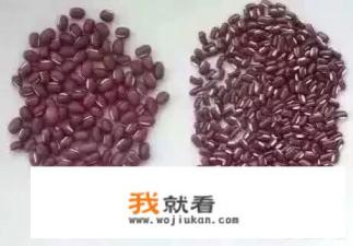 红豆和薏米可以把体内的湿气排出，这个偏方有没有科学依据？