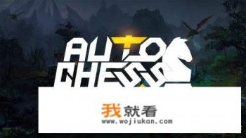 2009侵权巨鸟多多惹争议，游戏到底如何维权？