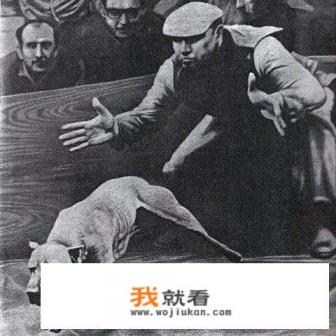 有什么欧美好看拳击擂台比赛电影么？